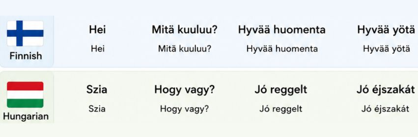 Finnish and Hungarian Language
