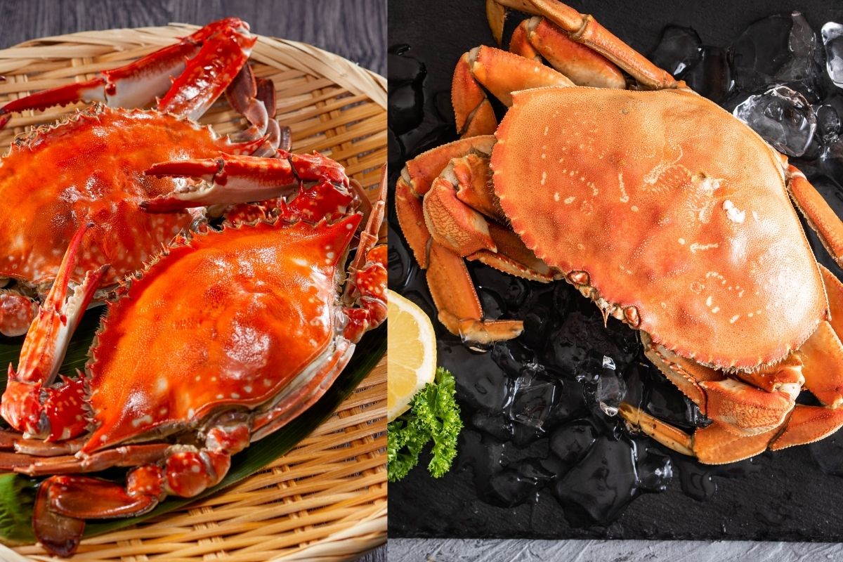 Crab (Dungeness and King Crab)