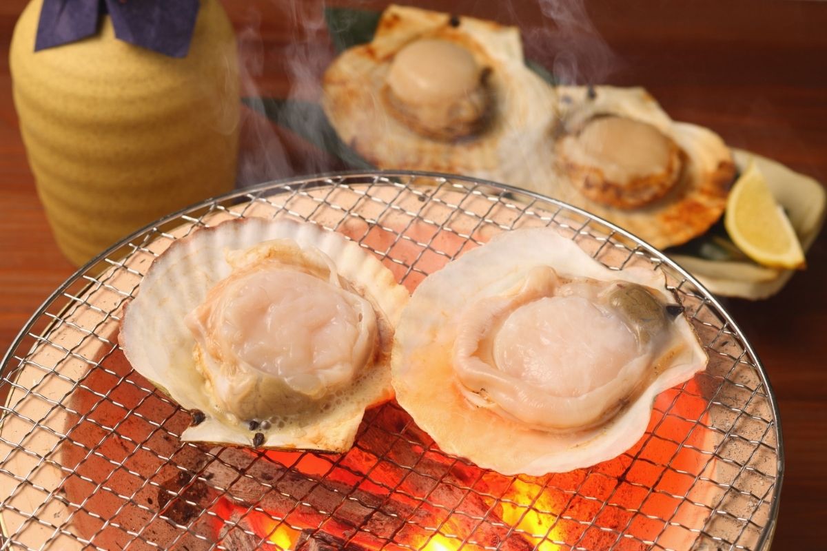 Scallops