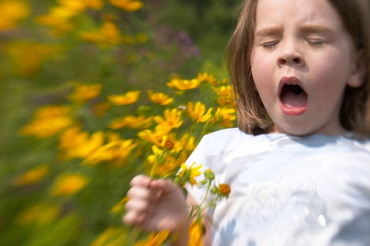 What A Sneeze Actually Is