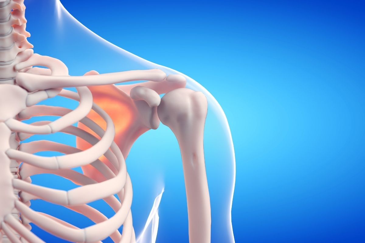 Bone Strength