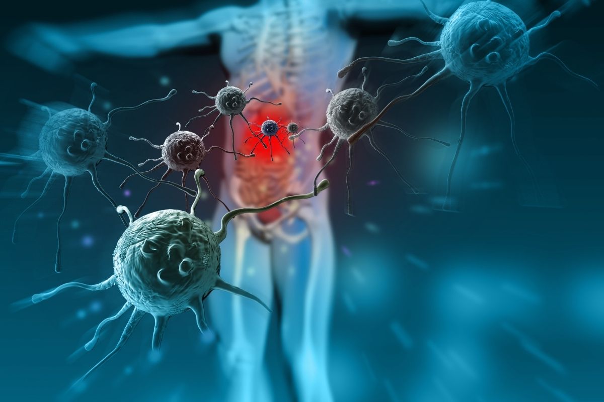 Immune Function