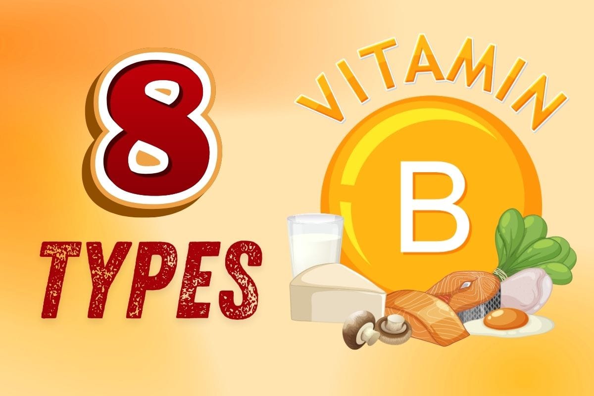 8 Types of Vitamin B